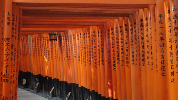 a corner of the tunnel of gates from the inside.  Text is written verically on the pillars of each one in black